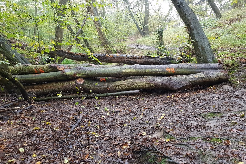 A leaky dam Roy has helped create.