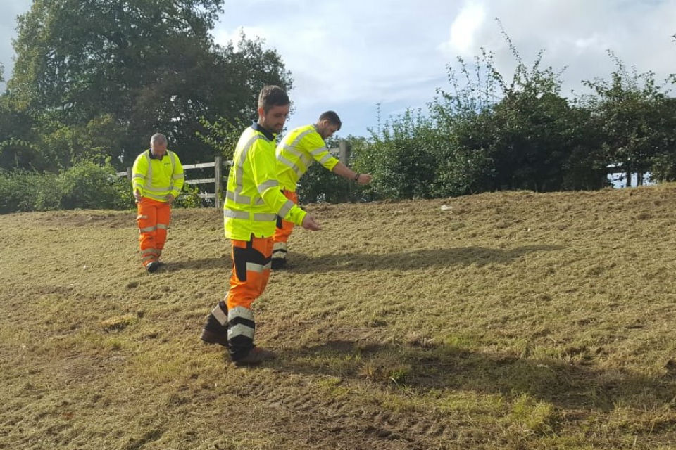 Highways England staff planting poppies