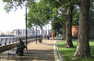 Trees on Embankment