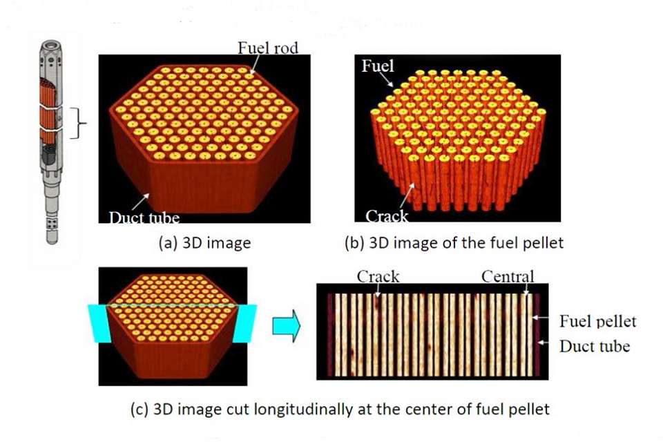 Image of AGR fuel assembly as seen by X-ray computed tomography