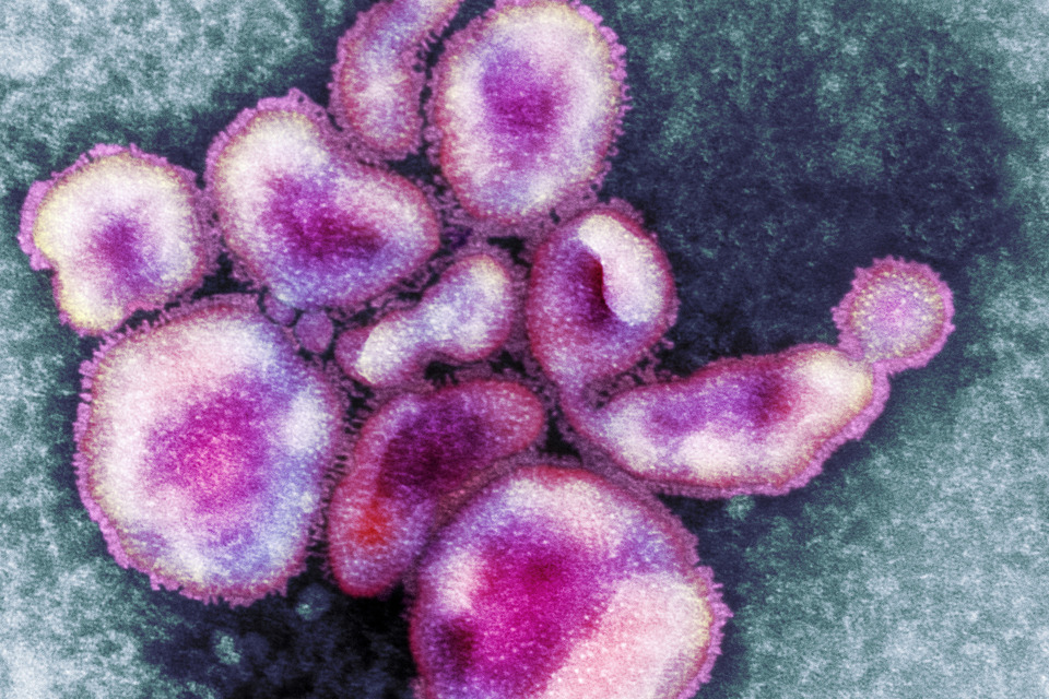 [Withdrawn] Avian flu in China guidance for health professionals GOV.UK