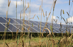 solar panels in field