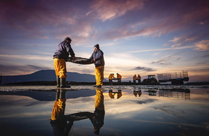 Rooney Fish Director Andrew Rooney and Manager Patrick Higgins on the Millbay Oyster farm