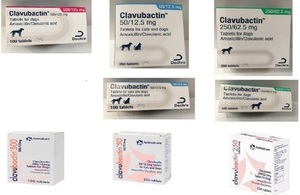 Clavubactin packaging