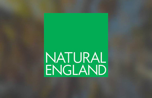 Natural England logo