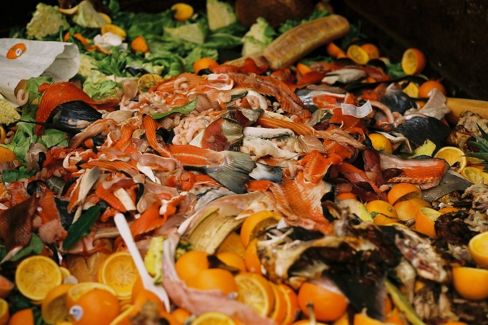 Over £1m to fund food waste fight
