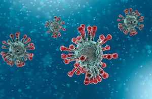Picture of coronavirus.