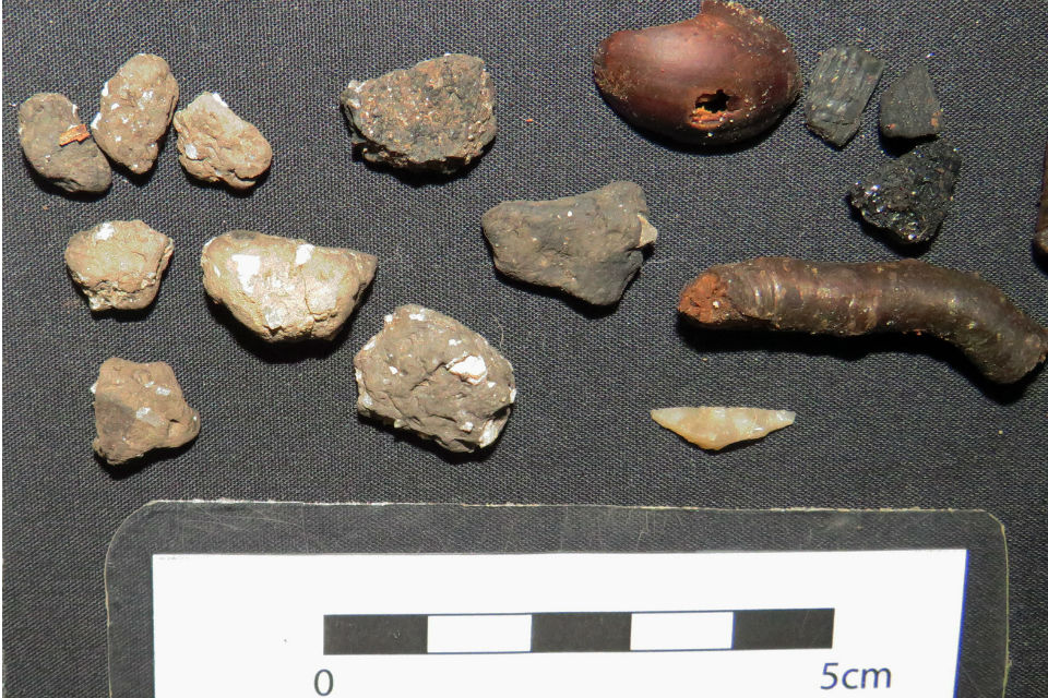 Image showing very rare pottery and tool fragments and vegetation sieved from the site