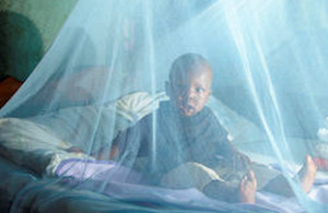 Insecticide-treated bed net.