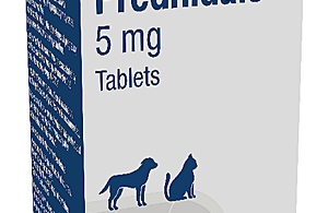 Prednidale 5 mg Tablets Packaging