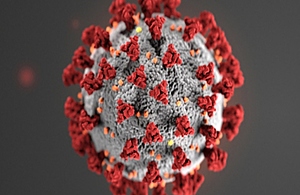 computer image of coronavirus