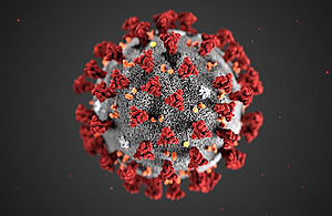 Picture of the virus
