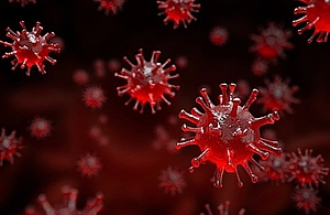 Image of a virus