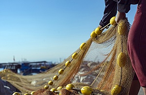 Image of fisher hauling net
