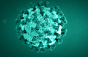 Novel coronavirus