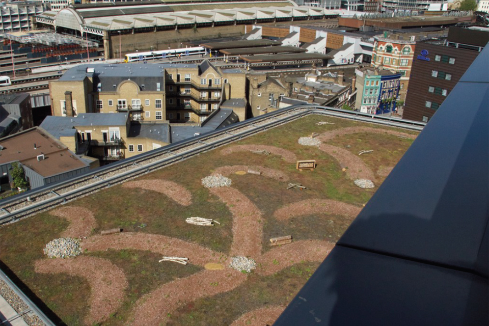 Green roof seminar