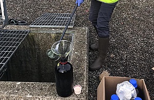 Collecting treated wastewater effluent samples. University of Plymouth