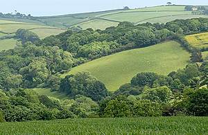 English hills and fields separated by woodland