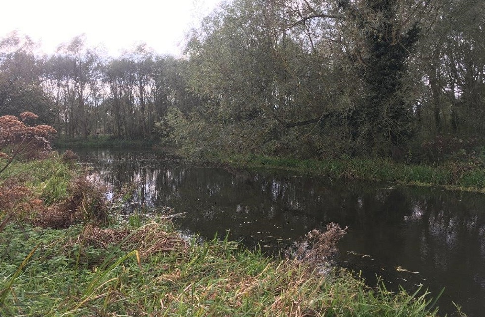 Friars Meadow after completed work.