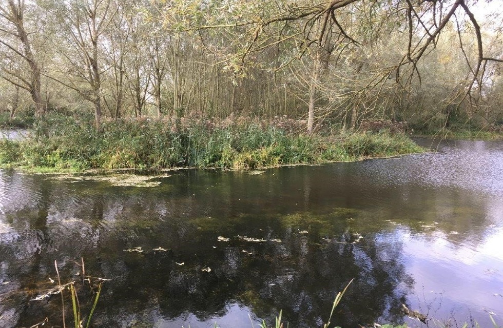 Friars Meadow after completed work.