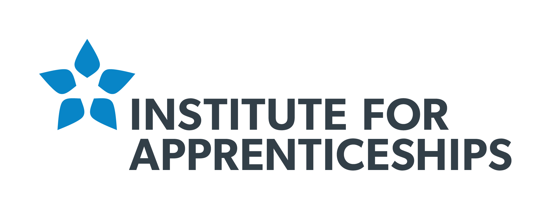 Institute for Apprenticeships GOV.UK