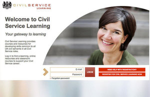 What does a civil servant do?