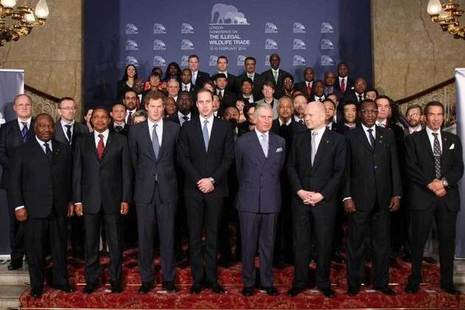 Conference representatives