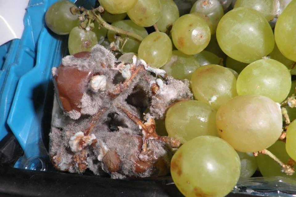 Leeds retailer fined after failing to meet marketing standards