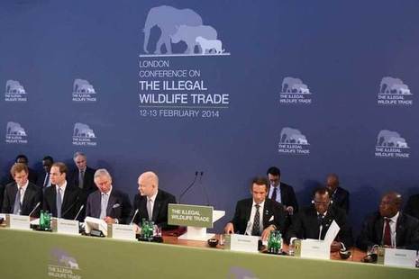 Illegal wildlife conference