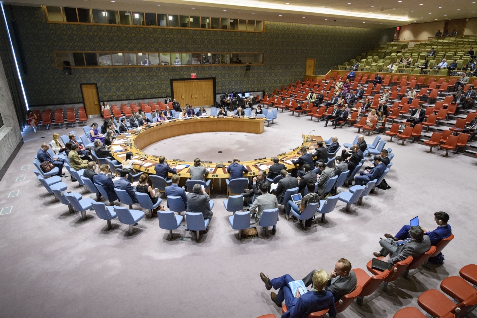 A wide view of the Security Council meeting on the situation in Bosnia and Herzegovina.