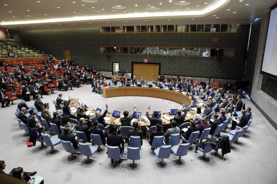 Security Council