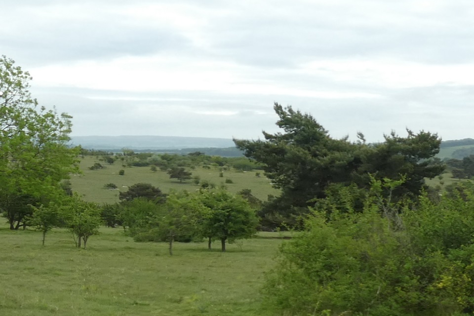 BBC Springwatch at Porton Down