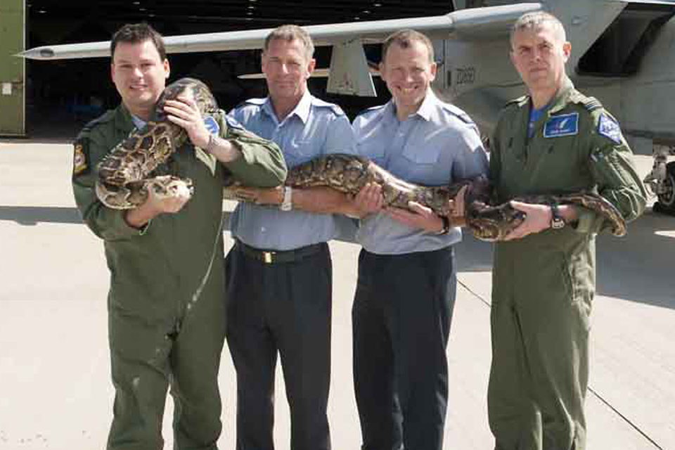 Royal Air Force personnel supporting Squadron Leader Eric the Snake Aldrovandi, from left: Flight Lieutenant Wharry, Flight Sergeant LarkWorthy, Sergeant Coltman and Flight Lieutenant Barber 