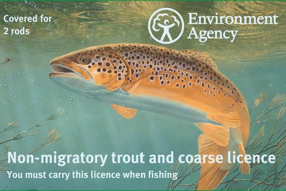 Environment Agency unveils new paintings to promote fishing