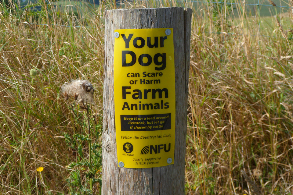 DIO and NFU tackle dog attacks on Salisbury Plain