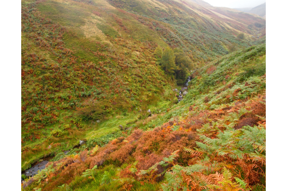 New £10 million fund to restore peatland