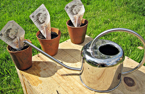 Watering can and money