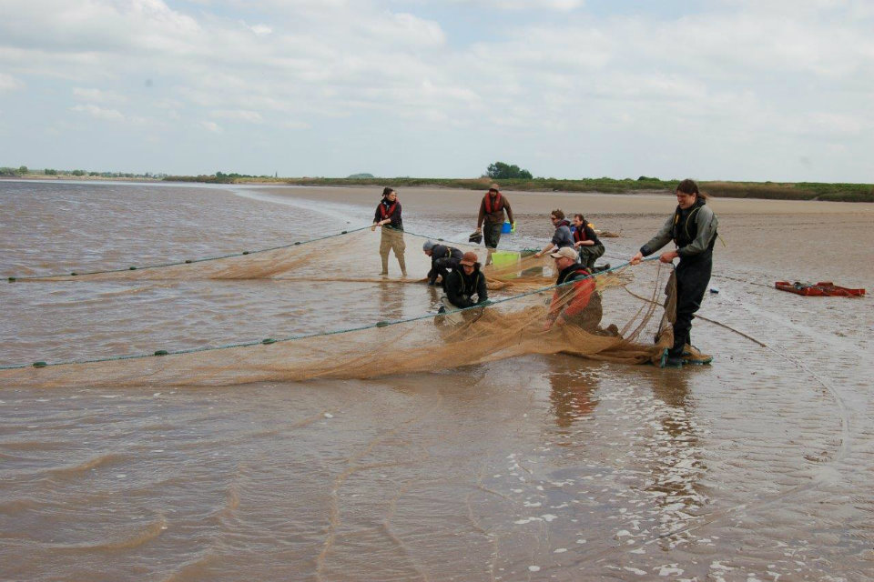 New information on rare River Severn fish population