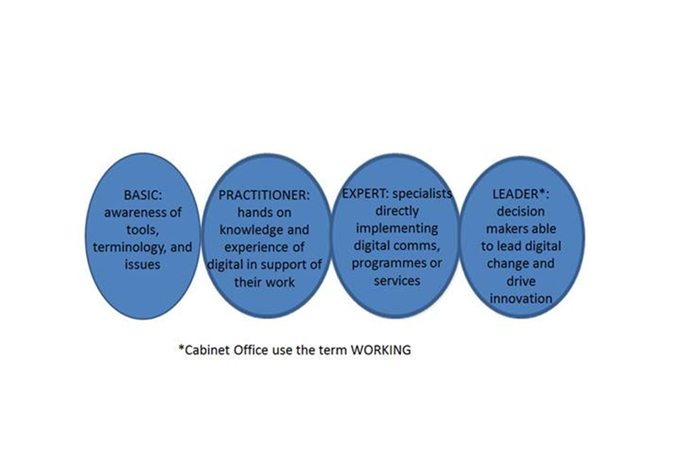 Cabinet Office model of four skill levels