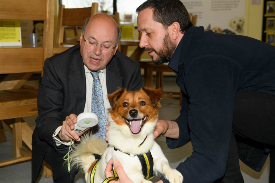 Chip your dog and check your chip