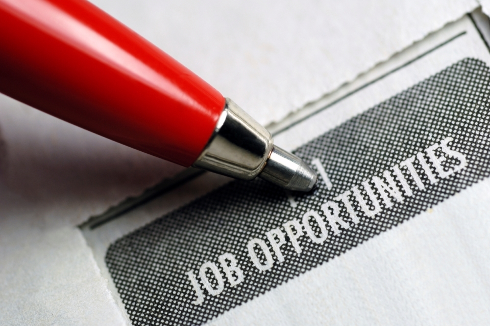 Apply for a job with the CMA