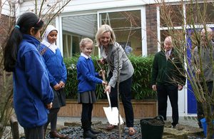 Tree planting