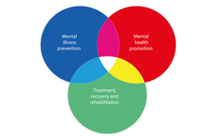 Venn diagram with Mental Illness Prevention, Mental Health Protection and Treatment, Recovery and Rehabilitation overlapping.