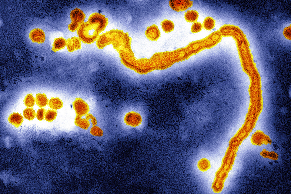 Chief medical officer advises NHS staff to make sure they are vaccinated against flu