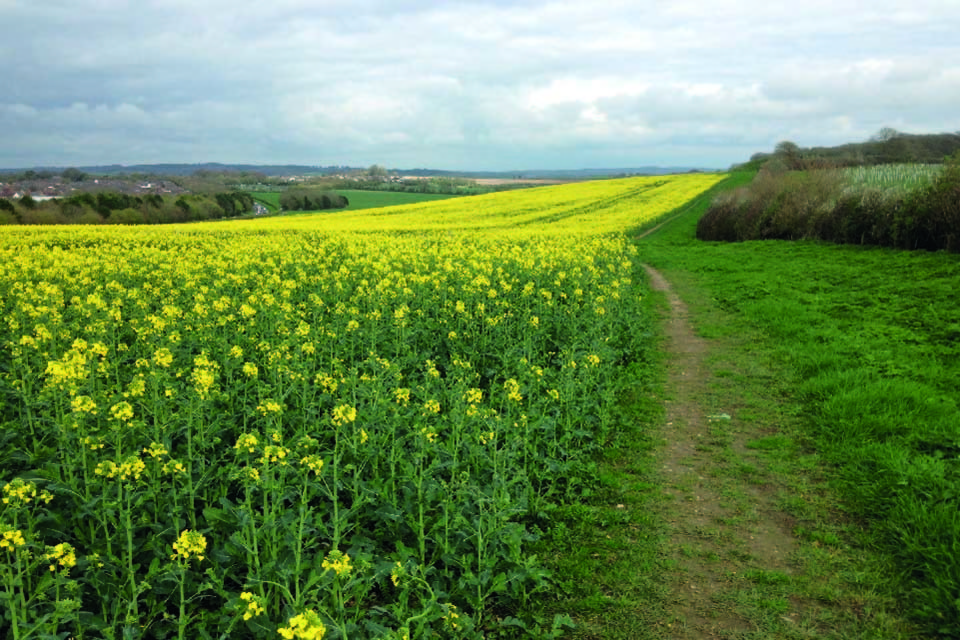 New Countryside Stewardship Offers open for applications