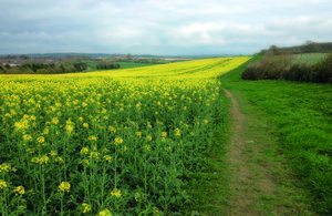 Countryside Stewardship