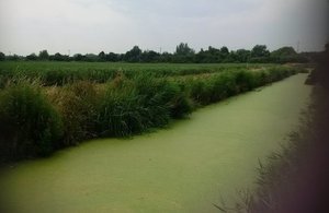 Picture of a river