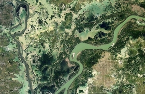 A flooded landscape in Cambodia.