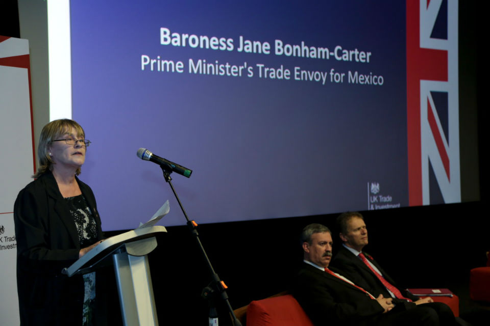 Baronesa Jane Bonham-Carter, Enviada Comercial del Primer Ministro de Reino Unido