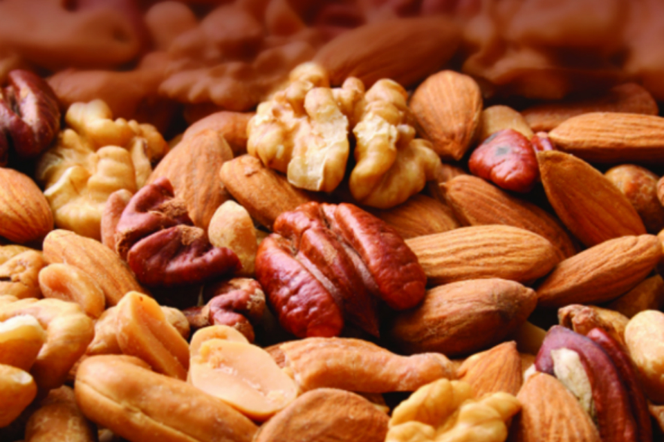 GC represented at international event on food fraud and food allergy